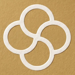 Synflor 赛峰 LOGO